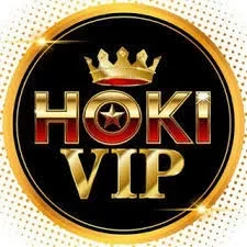 Cara Pasang hokivip di HP Android dengan Benar
